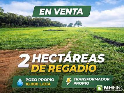 Parcela rústica en venta en Mairena del Alcor