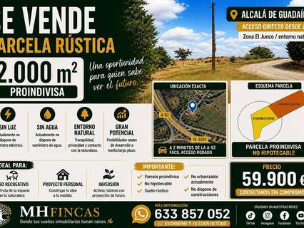 Parcela rústica en venta en Alcalá de Guadaíra