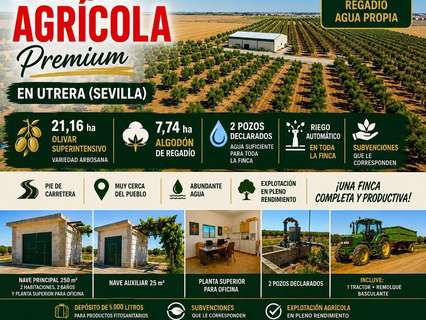 Parcela rústica en venta en Utrera rebajada