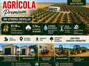 Parcela rústica en venta en Utrera rebajada