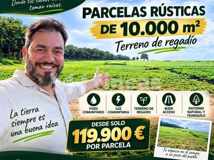 Parcela rústica en venta en Mairena del Alcor