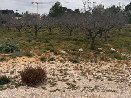 Parcela rústica en venta en Bétera