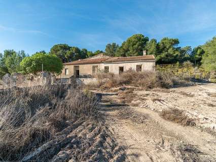 Parcela rústica en venta en Pilar de la Horadada