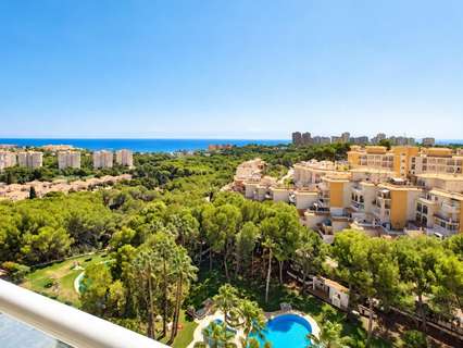 Apartamento en venta en Orihuela zona Orihuela-Costa