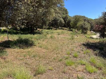 Parcela rústica en venta en Sant Pere de Vilamajor