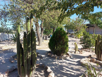 Local comercial en venta en Baza