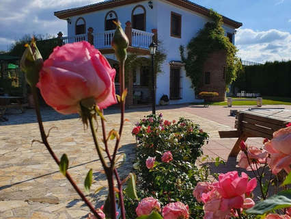 Chalet en venta en Loja