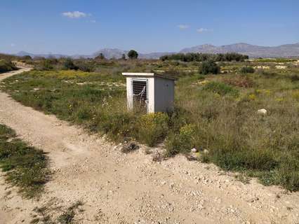 Parcela rústica en venta en Albatera