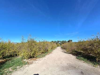 Parcela rústica en venta en Albatera