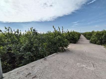 Parcela rústica en venta en Albatera