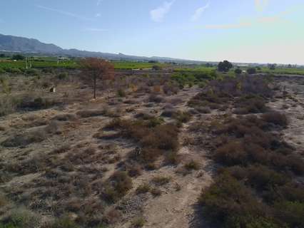 Parcela rústica en venta en Albatera