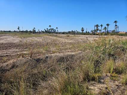 Parcela rústica en venta en Elche/Elx La Hoya