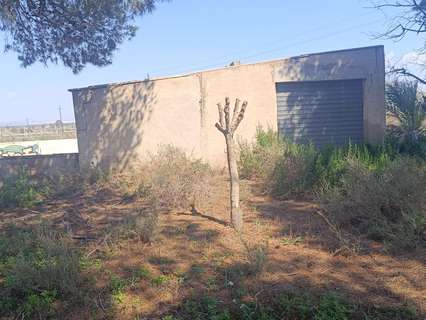 Parcela rústica en venta en Elche/Elx zona La Marina