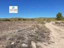 Parcela rústica en venta en El Pinós/Pinoso