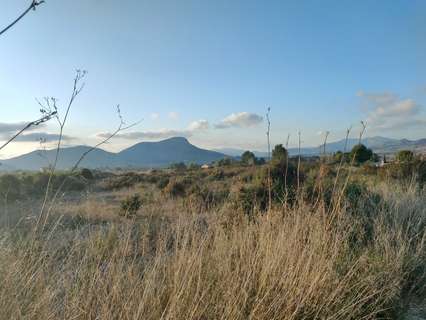 Parcela rústica en venta en Aspe