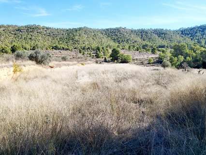 Parcela rústica en venta en Monóvar/Monòver