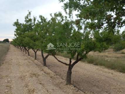 Parcela rústica en venta en Monóvar/Monòver