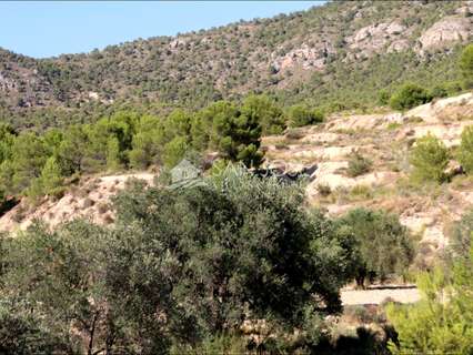 Parcela rústica en venta en Monóvar/Monòver