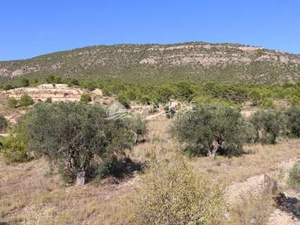 Parcela rústica en venta en Monóvar/Monòver
