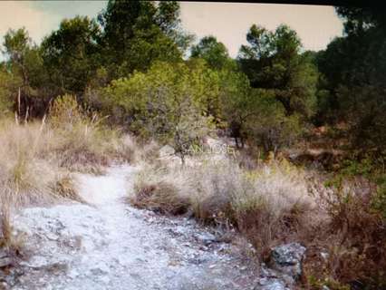 Parcela rústica en venta en Monóvar/Monòver