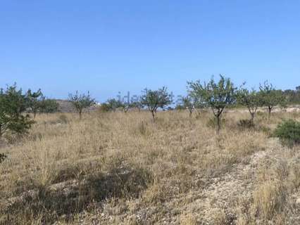 Parcela rústica en venta en La Romana