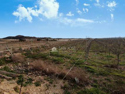 Parcela rústica en venta en Monforte del Cid