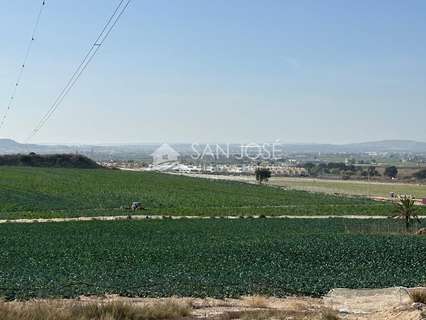 Parcela rústica en venta en Elche/Elx