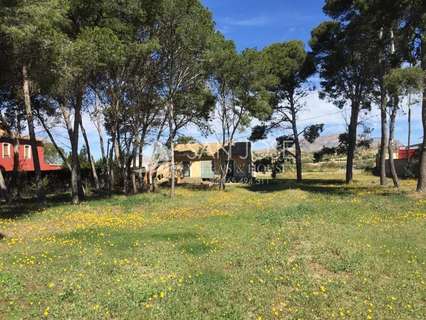 Parcela urbana en venta en Monforte del Cid