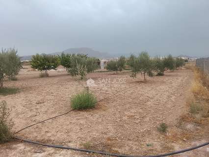 Parcela rústica en venta en Monforte del Cid