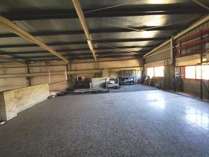 Nave industrial en venta en Elche/Elx