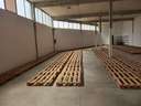 Nave industrial en alquiler en Elche/Elx