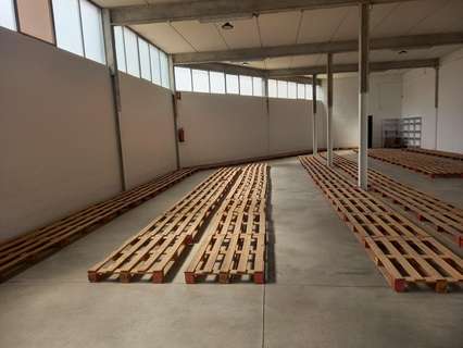 Nave industrial en venta en Elche/Elx