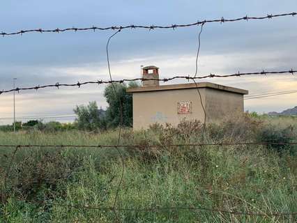 Parcela rústica en venta en Sant Vicent del Raspeig