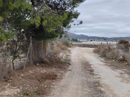 Parcela rústica en venta en Monforte del Cid