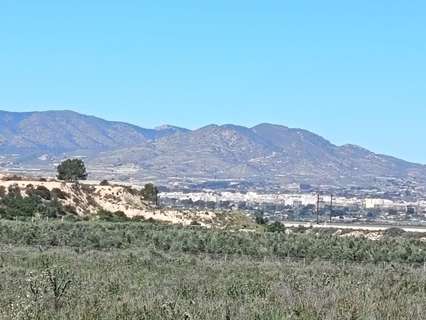 Parcela rústica en venta en Monforte del Cid