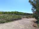 Parcela rústica en venta en Monforte del Cid