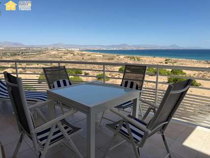 Apartamento en alquiler en Elche/Elx zona Los Arenales del Sol