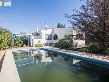 Chalet en venta en Rojales