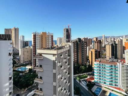 Apartamento en alquiler en Benidorm