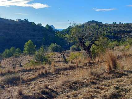 Parcela rústica en venta en Benissa