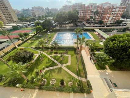 Piso en alquiler en Alicante
