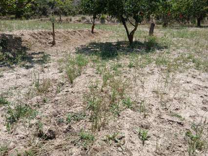 Casa en venta en Torremanzanas