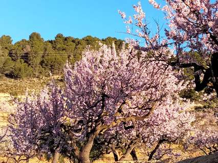 Parcela rústica en venta en Torremanzanas