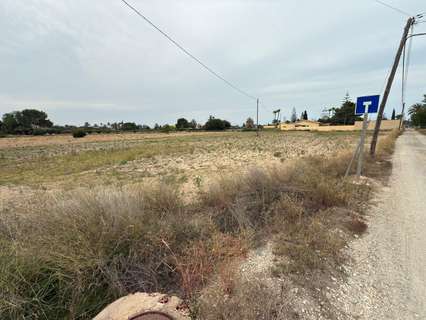 Parcela rústica en venta en Elche/Elx rebajada
