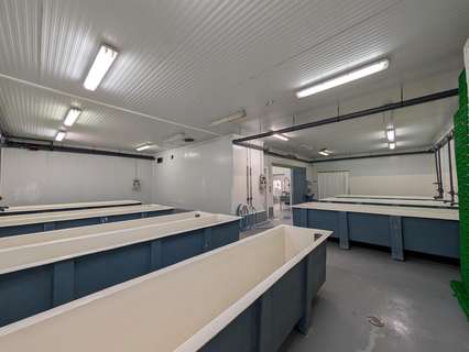 Nave industrial en venta en Ayamonte