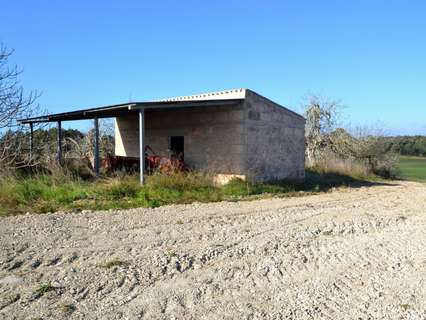 Parcela rústica en venta en Llubí