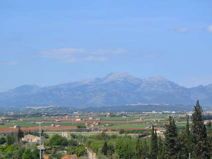 Parcela rústica en venta en Muro, rebajada