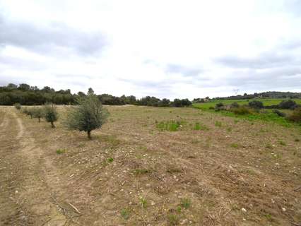 Casa rústica en venta en Llubí