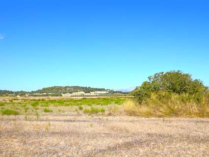 Parcela rústica en venta en Muro