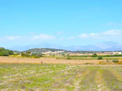 Casa rústica en venta en Santa Margalida